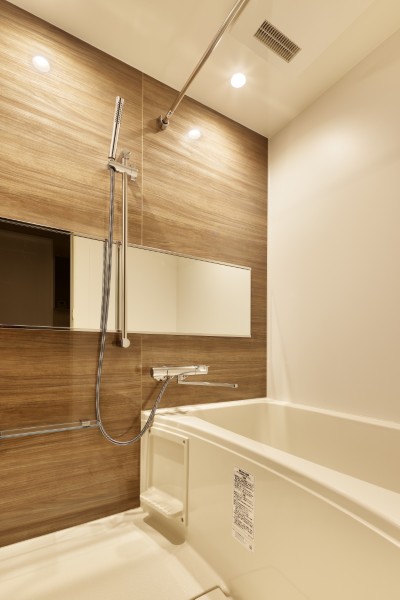 ブエナビスタ高津タワー